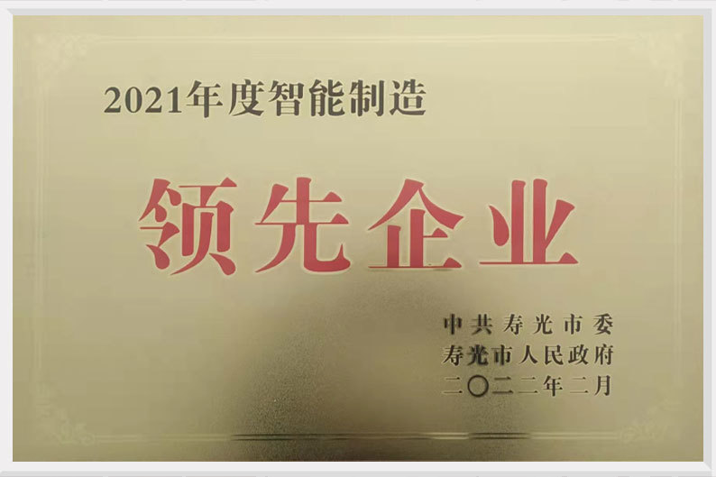 2021年度智能制造领先企业